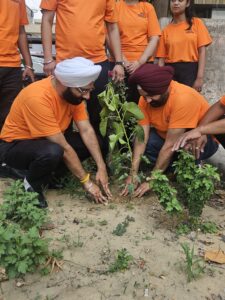 plantation event (8)